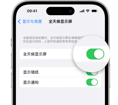 沙湖镇苹果15预约维修分享iPhone15如何设置全天候显示屏幕可见 