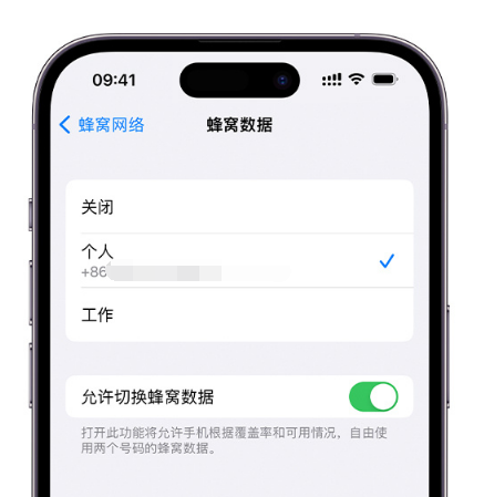 沙湖镇苹果维修服务分享如何在iPhone上使用双卡 